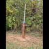 signal-2024-12-19-154151_002